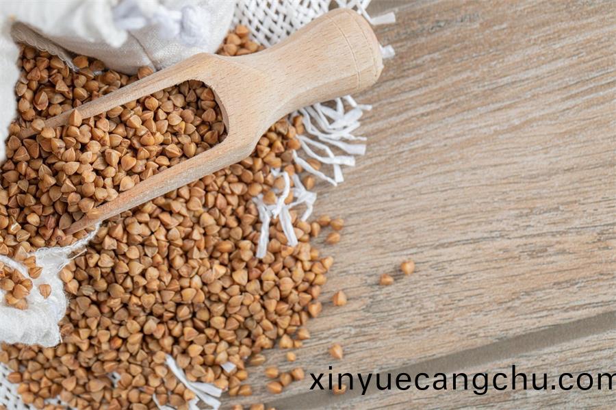 葫蘆巴(ba)堿(jian)