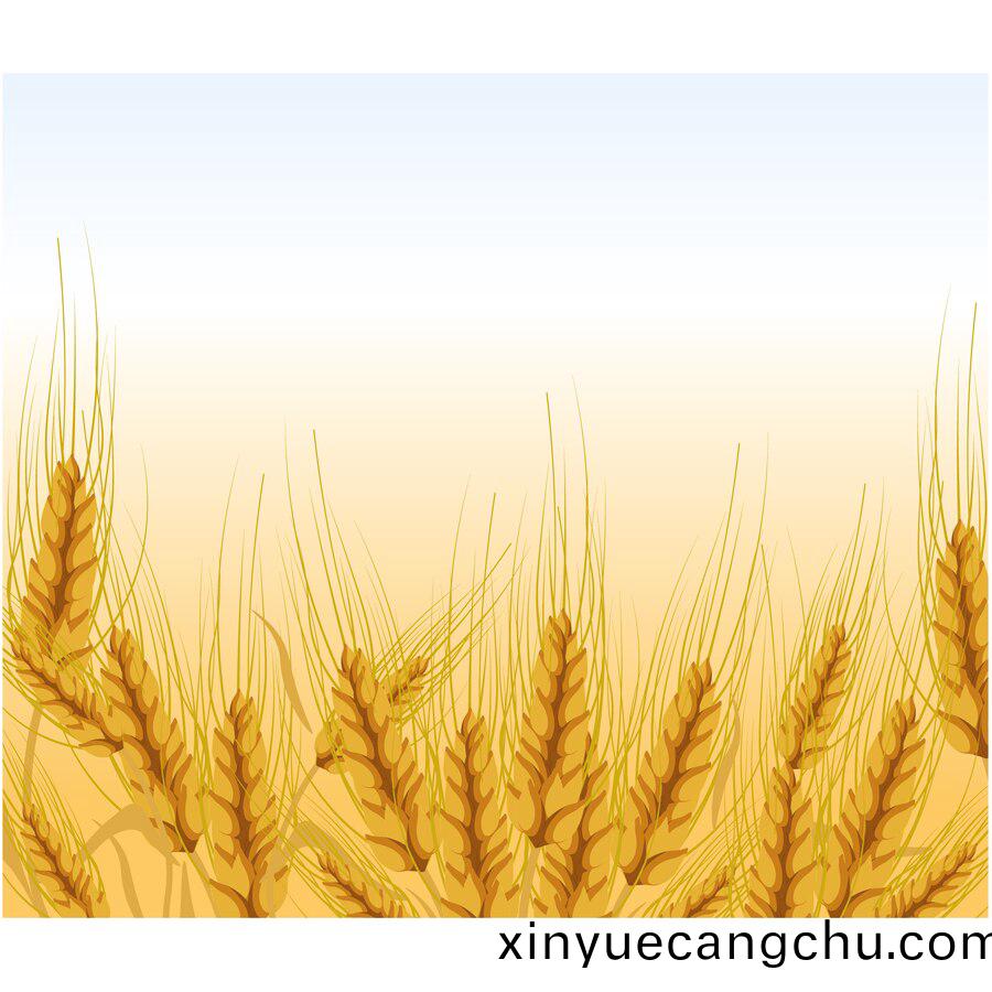 亞(ya)精(jing)胺(an)